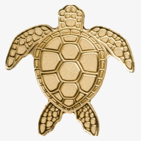 Golden Sea Turtle - Turtle Gold, HD Png Download, Free Download
