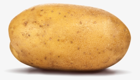 Potato Png Image - Transparent Potato Clear Background, Png Download, Free Download