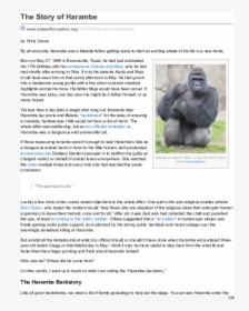 Western Lowland Gorilla, HD Png Download, Free Download