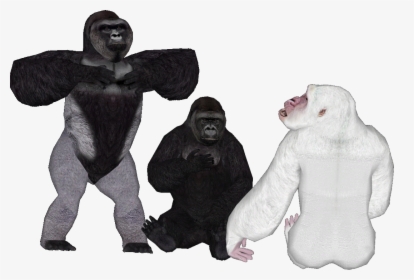 Harambe With White Background, HD Png Download, Free Download