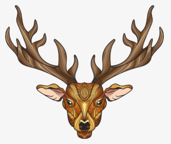 Deer Png Clip Art Png Image Free Download Searchpng - Tête De Cerf Coloré Dessin, Transparent Png, Free Download