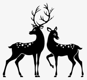#deer #png #freetoedit #pretty #steffj #tattoo #stamp - Deer And Doe Silhouette, Transparent Png, Free Download