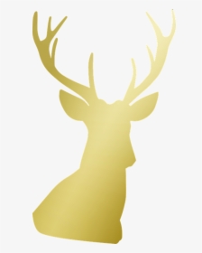Gold Deer Png, Transparent Png, Free Download