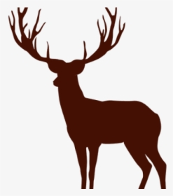 Deer Png Transparent Images - Deer Silhouette Transparent, Png Download, Free Download