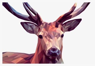 Low Poly Portraits Of Animals - Deer Computer Art, HD Png Download, Free Download