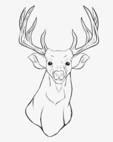 Deer Head Coloring Pages - Printable Deer Head Coloring Pages, HD Png Download, Free Download