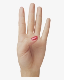 Hand Showing 4 Fingers, HD Png Download, Free Download
