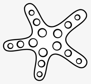 Free White Star Image - Starfish Clipart Black And White, HD Png Download, Free Download