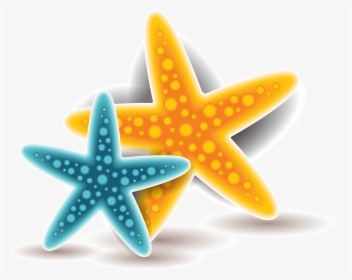 Starfish Euclidean Vector - Starfish, HD Png Download, Free Download