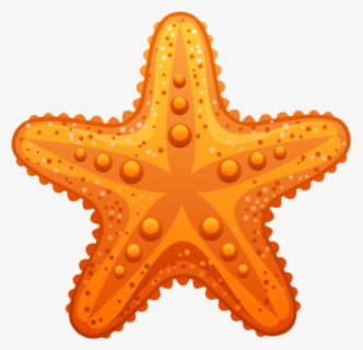 Sea Star Clipart Png, Transparent Png, Free Download