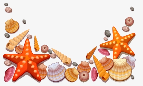 Seashell Border Png Free - Sea Shells Vector Png, Transparent Png, Free Download