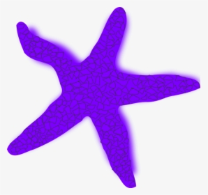 Starfish Free Content Clip Art - Starfish Clip Art, HD Png Download, Free Download
