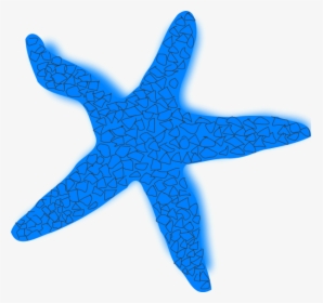 Starfish Vector Transparent - Blue Star Fish Clip Art, HD Png Download, Free Download