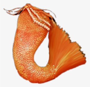 #freetoedit #sirena #mermaid #orange #png #princess - Cola De Sirena Para Fotomontaje, Transparent Png, Free Download