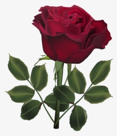 Transparent Dark Rose Png - Rose Flower Beautiful Rose Photo Download, Png Download, Free Download