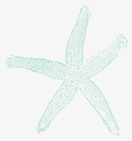 Sea Blue Starfish Svg Clip Arts - Teal Starfish Clipart, HD Png Download, Free Download