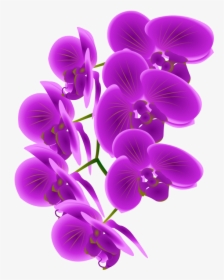 Free Purple Orchid Clipart - Purple Orchid Clip Art, HD Png Download, Free Download