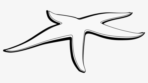 Clip Art Black And White Star Fish, HD Png Download, Free Download