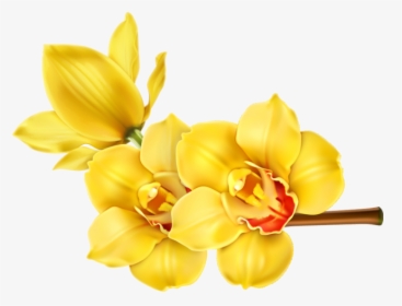 Orchid Transparent Yellow - Orchid Flower Hd Png, Png Download, Free Download