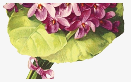 Victorian Floral Purple Nosegay Clipart - Moth Orchid, HD Png Download, Free Download