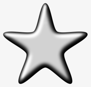 Echinoderm,star,starfish - Starfish, HD Png Download, Free Download