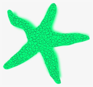 Starfish Clipart Star Fish - Starfish, HD Png Download, Free Download