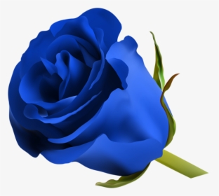 Blue Rose Png Clip Art Image Clipart Blue Roses - Royal Blue Flower Png, Transparent Png, Free Download