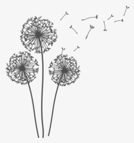 Freetoedit Dandelions Dandelionseeds Png - Transparent Background Dandelion Gif, Png Download, Free Download