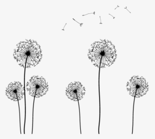 Seed Clip Art - Flower Silhouette Transparent Background, HD Png Download, Free Download