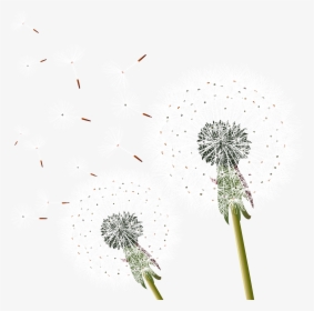 Dandelion Transparent Flying - Dandelion Free Png Download, Png Download, Free Download