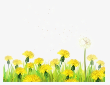 Free Png Transparent Grass With Dandelions Png Images - Dandelions Clip Art, Png Download, Free Download