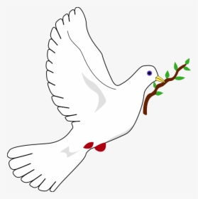 Oztorah » Blog Archive » The Dove Of Peace No"ach - Peace Dove, HD Png Download, Free Download