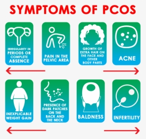 Pcos Treatment, HD Png Download, Free Download
