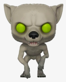 A Picture Of Remus Lupin As A Werewolf - Harry Potter Funko Pop Lupin Werewolf, HD Png Download, Free Download