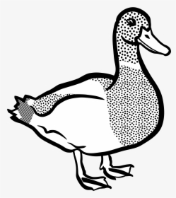 Lineart Clip Arts - Duck Clipart, HD Png Download, Free Download