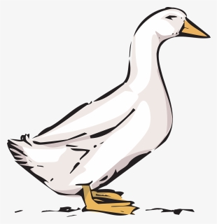 Transparent Duck Png - Clip Art Of Farmer Duck, Png Download, Free Download