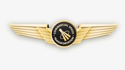 Faa Astronaut Wings Version 2 - Badge, HD Png Download, Free Download