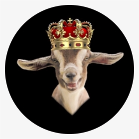 Goat With King Crown , Png Download - Goat With A Crown King, Transparent Png, Free Download