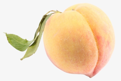 White Peach Png, Transparent Png, Free Download