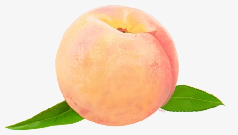 Peach Food Clip Art - Watercolor Peach Transparent Background, HD Png Download, Free Download
