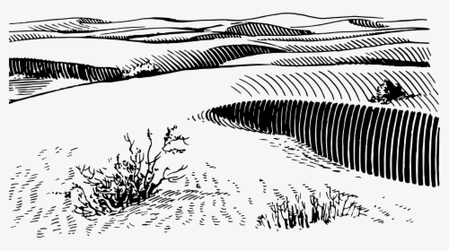 Sand Dunes Clip Arts - Clip Art Desert Black And White, HD Png Download, Free Download