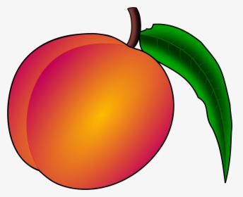Peach, Fruit, Nectarine, Plant, Nature, Healthy, Sweet - Peach Clipart, HD Png Download, Free Download