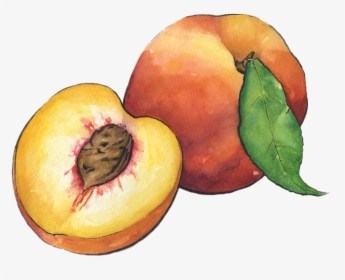 Peaches, HD Png Download, Free Download