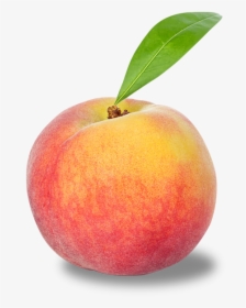 Nectarine, HD Png Download, Free Download