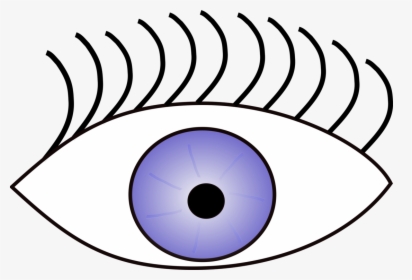 Googly Eyes Human Eye Eye Color Visual Perception - Sight Clipart, HD Png Download, Free Download