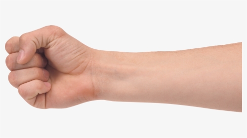 Human Arm Png - Hand Fist Transparent, Png Download, Free Download