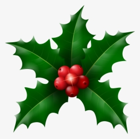 Transparent Holly Green, HD Png Download, Free Download