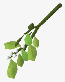 The Runescape Wiki - Maidenhair Tree, HD Png Download, Free Download