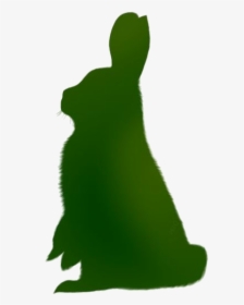 Cute Bunny Png Image Clipart - Hare, Transparent Png, Free Download