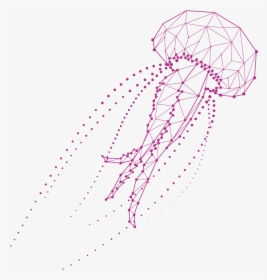 Jellyfish Illustration Png, Transparent Png, Free Download